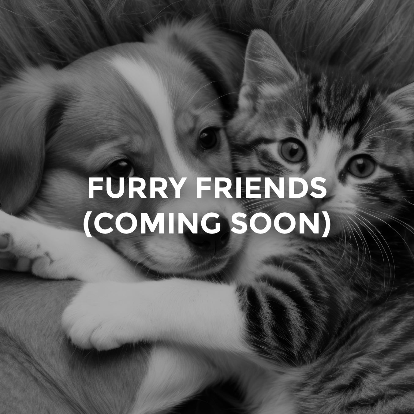 FURRY FRIENDS (Coming Soon)